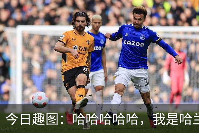 今日趣图：哈哈哈哈哈，我是哈兰德，进世界杯8强啦！
