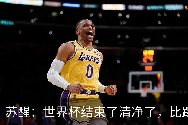 苏醒：世界杯结束了清净了，比踢到一半就淘汰的那种清净好