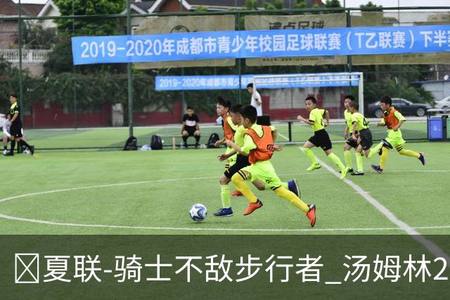 🏀夏联-骑士不敌步行者 汤姆林20+6 托马斯20分 马斯特16+11